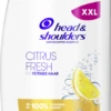 Haarshampoo Anti-Schuppen Citrus Fresh