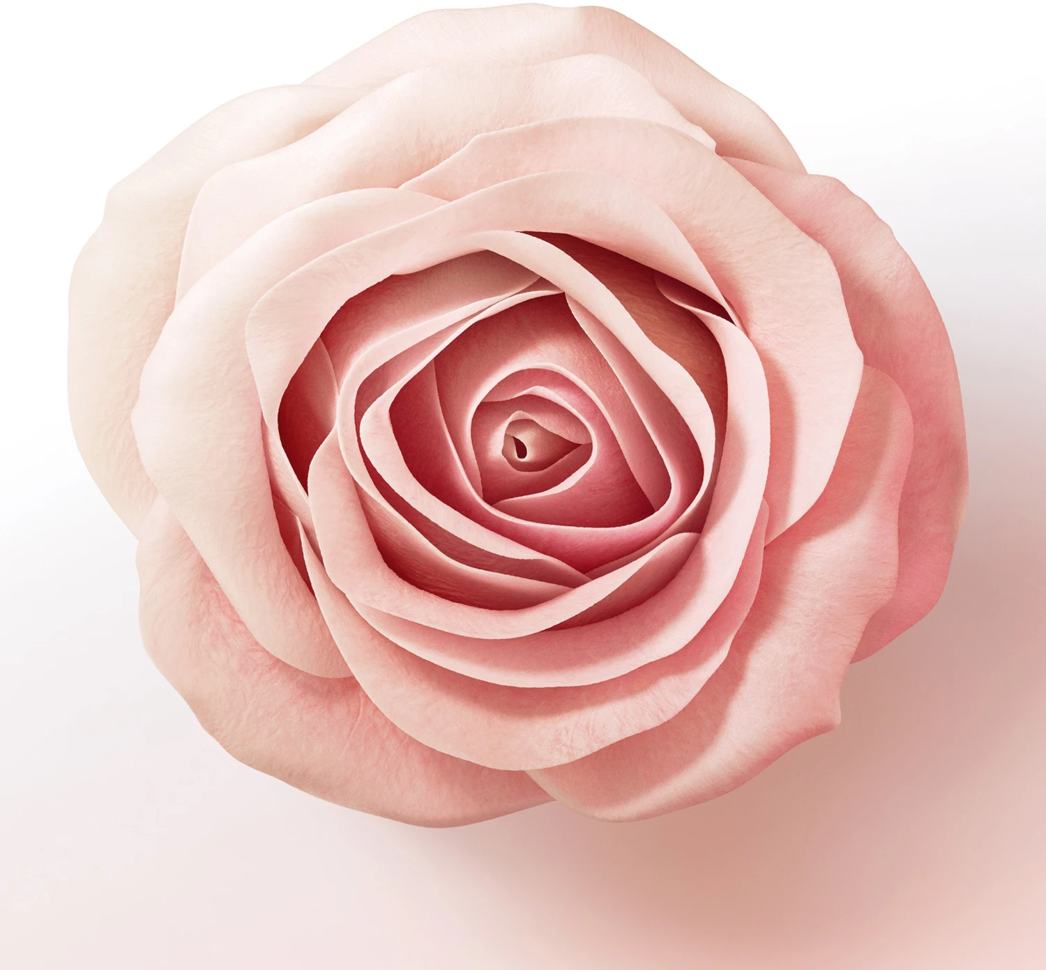 miracles Lift & Volume haarverdickendes Shampoo