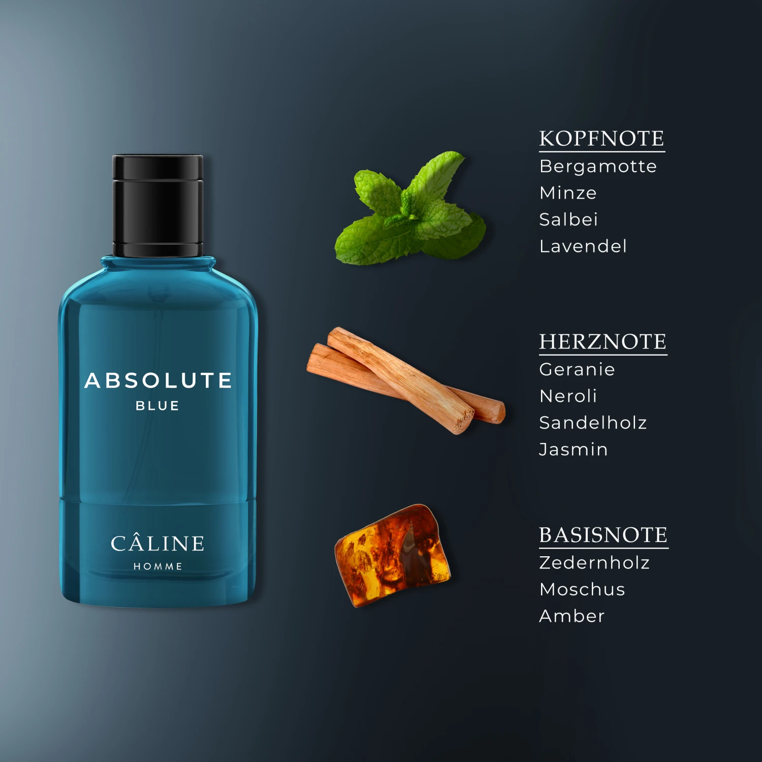Homme Absolute Blue, EdT 60 ml