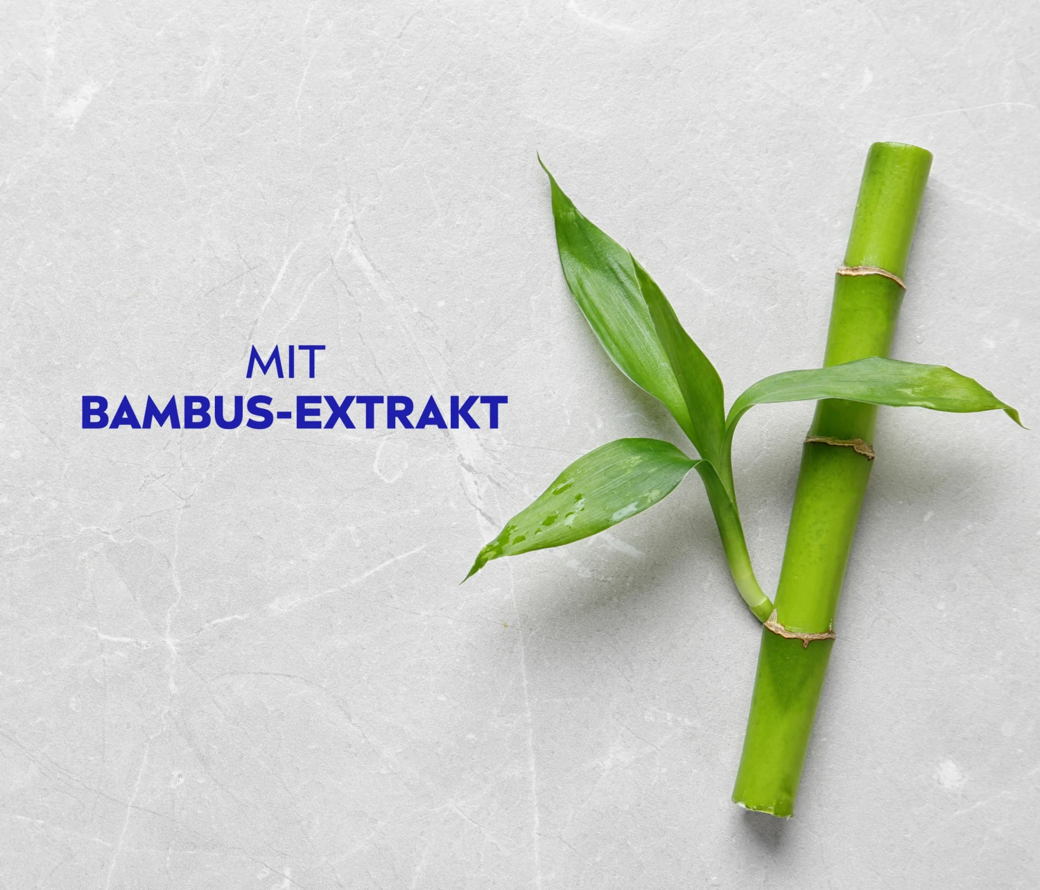 Anti Schuppen Shampoo