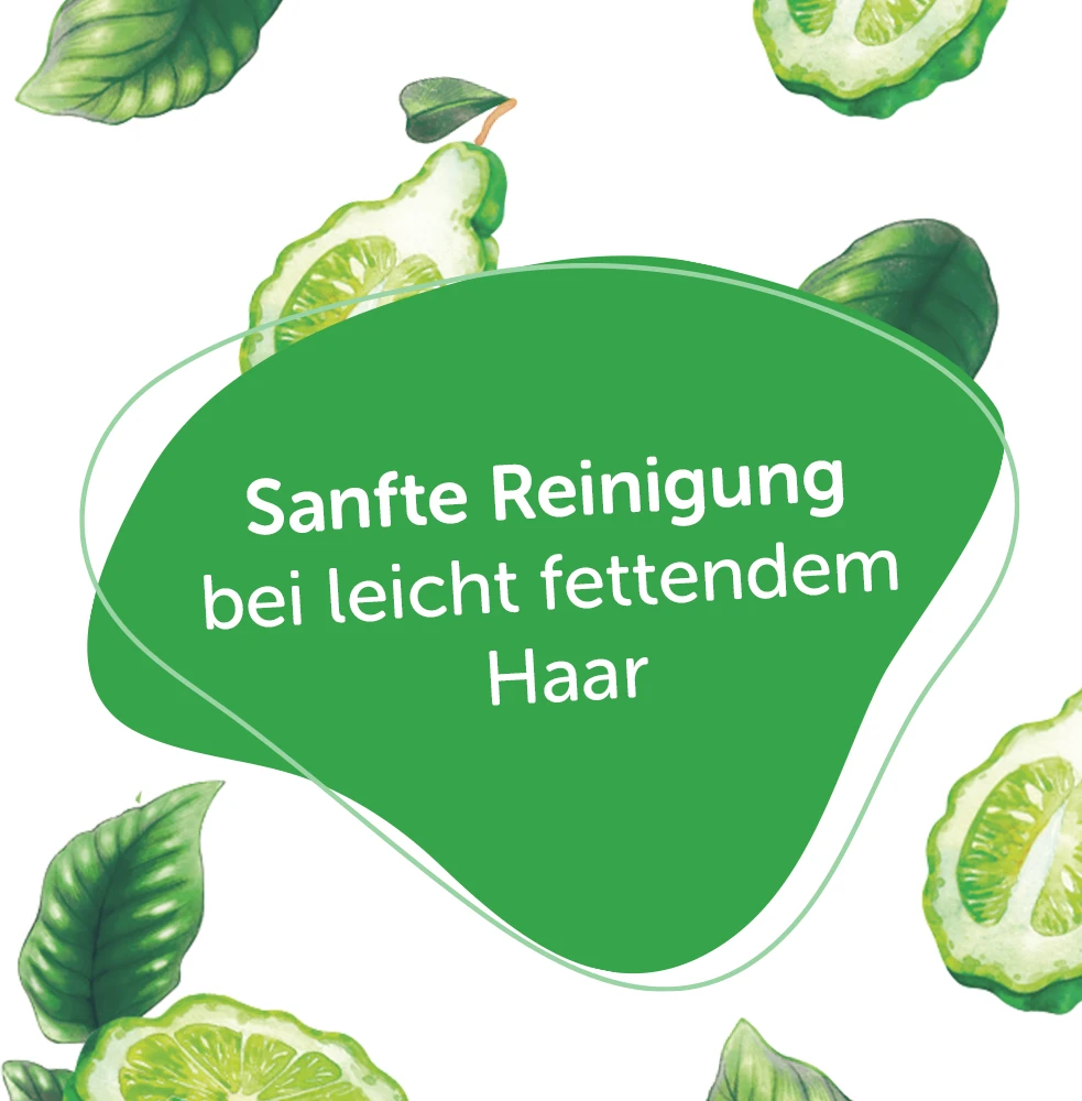 Festes Shampoo Bio-Bergamotte & Bio-Olive